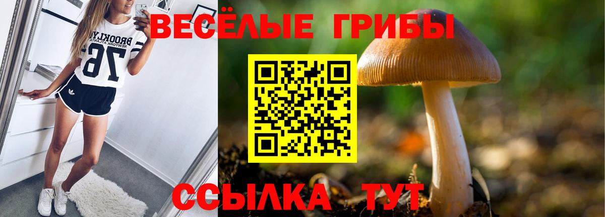 Псилоцибиновые грибы Psilocybine cubensis Анжеро-Судженск
